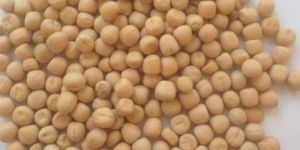 Russian Yellow Peas