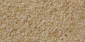 White Sesame Seeds