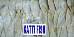 Frozen Katti Fish