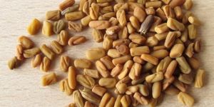 Fenugreek Seeds