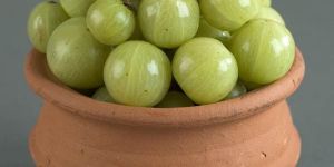 Indian Gooseberry