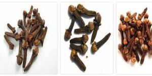 Cloves