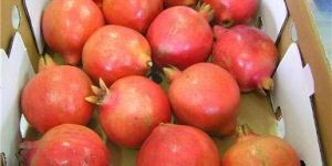 Fresh Pomegranates