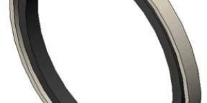 Piston and Step Seal