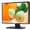 Dell LCD Monitor