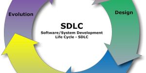Software Development Service