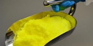 Stainless Steel Scorpion Scoop