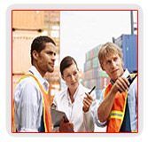 Custom Handling Services