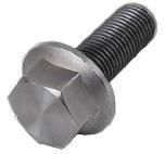 Hex Screws