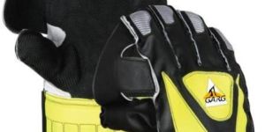 Cricket Wicket Keeping Gloves