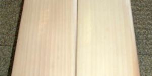 English Willow Cricket Bats