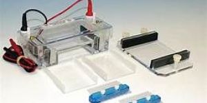 Gel Electrophoresis Equipment