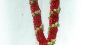 Rose Petal Garland