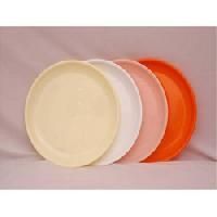 Acrylic Dinner Plates