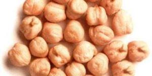 Chickpeas - 01