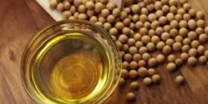 Soya Oil Seeds