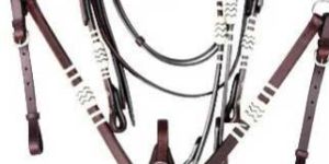 Western Headstalls - 06