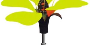 Typical Flower Model