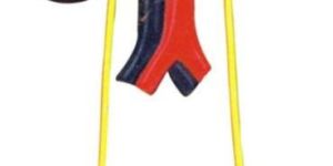 Urinary Organs Kidney With Bladder