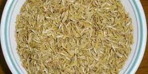 Rice Husk