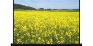 Tripod Projection Screen