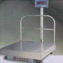 Bench Weighing Scale (DS - 252)