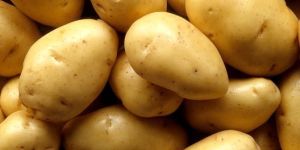 Potatoes