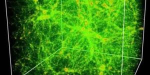 Physics Lab Equipment Ple-03