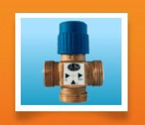 RAW Thermostatic Valve