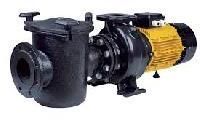 Swimming Pool Motor Pump