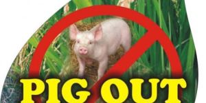 Pig & Nilgai Repellent