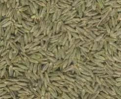 Cumin Seeds