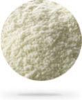 Skimmed Milk Powder