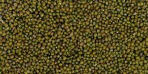 Whole Green Moong Lentils