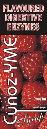 Digestive Enzyme Syrup