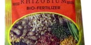Rhizo (Rhizobium) Biofertilizer