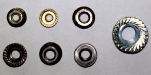 Flange Nuts