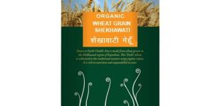 Wheat Grain