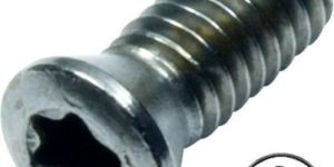 Torx Screw