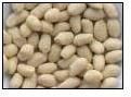 Blanched Peanuts