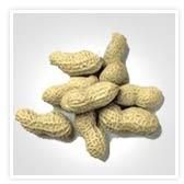 Shelled Peanuts