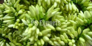 Mullai Flower Strings