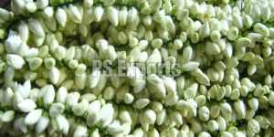 White Jasmine Flower Strings