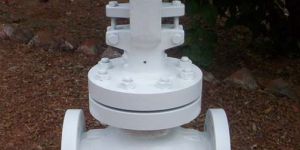 Globe Valve