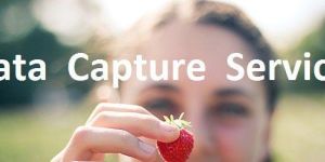 Data Capturing Services