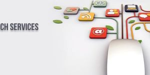 Outsource Web Resaech Services