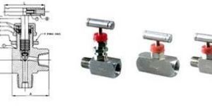 Needle Valves
