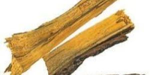 Berberis Aristata Extract