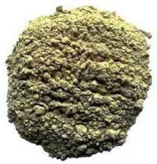 Withania Somnifera Extract