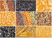 Agriculture Product Stocks